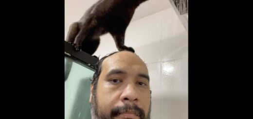 男性の頭を足場にしてシャワーの水を飲む黒猫