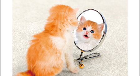 東京メトロのマナー広告