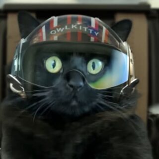 A Parody of Top Gun Maverick starring OwlKitty