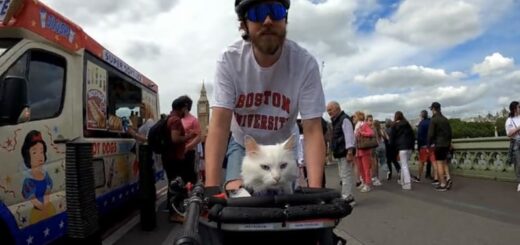 トラヴィスさんといっしょに自転車でウェストミンスター橋の上を通過するシグリッドちゃん