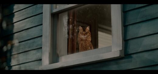 YKK APのTVCM「窓と猫の物語」シリーズ 2026年CM「おとなりさん」