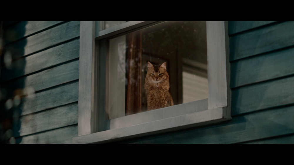 YKK_AP_windowcat_CM_2026.jpg