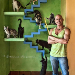 「House Of Nekko」で暮らす猫たちとピーター・コーエンさん