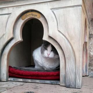 ドゥブロヴニクのレクター宮殿で暮らすアナスタシアちゃん