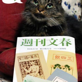 アンチョ先生と週刊文春