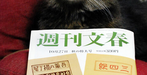アンチョ先生と週刊文春