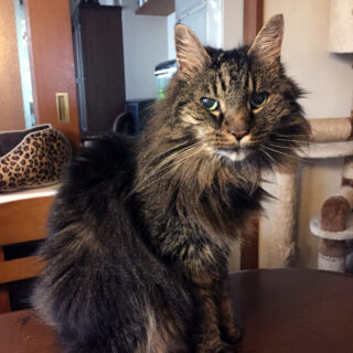 18歳のお誕生日のアンチョ先生（2019年）