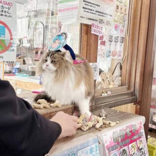 節分の豆まきに挑戦する芦ノ牧温泉駅のさくらちゃん