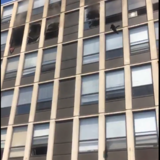 ビルの5階から飛び降りる黒猫