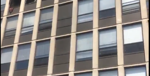 ビルの5階から飛び降りる黒猫