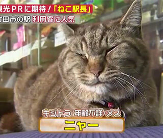 豊後竹田駅のニャー駅長