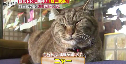 豊後竹田駅のニャー駅長
