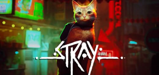 PS5™/PS4®『Stray』