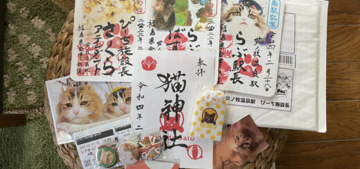 仙巌園 猫神社のお守りと来館記念証、芦ノ牧温泉駅の御朱印、『ボブという名の猫2』の缶バッジほか