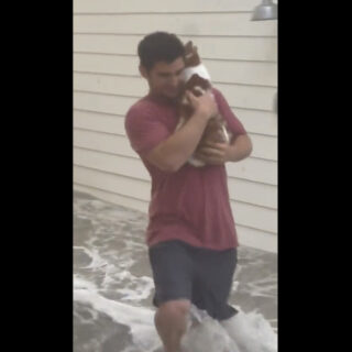 ハリケーン「イアン」がもたらした洪水から猫を救助する男性