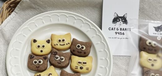 藤井聡太竜王が名人戦のおやつに選んだCAT & BAKES 9456(キャットアンドベイクスグシコロ)の「ぼくたち8人兄弟クッキー」