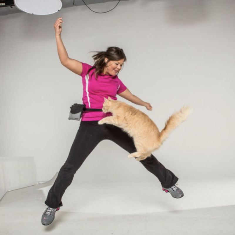 the Guinness Book of World Records for the most skips (jump rope) by a cat in one minute