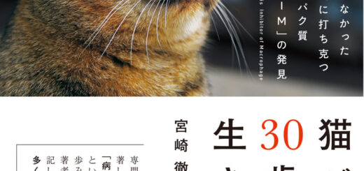 猫が30歳まで生きる日~治せなかった病気に打ち克つタンパク質「AIM」の発見』 表紙