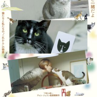 ドキュメンタリー映画『猫たちのアパートメント』
