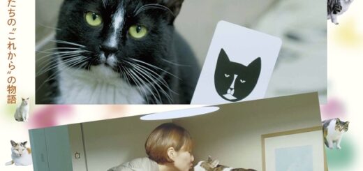 ドキュメンタリー映画『猫たちのアパートメント』