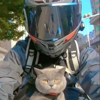 飼い主さんといっしょにバイクで疾走する21君