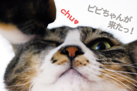 ビビちゃんのチュウ