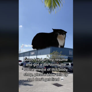 自動車整備工場のSNSにも登場したインターネット・ミーム、マックスウェル・ザ・キャット