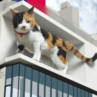 クロス新宿ビジョンの巨大猫
