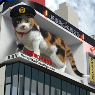 新宿東口の猫交番