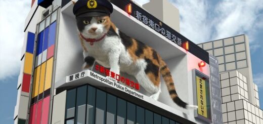 新宿東口の猫交番