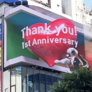 新宿東口の猫 1周年記念の新作「あたらしい部屋」