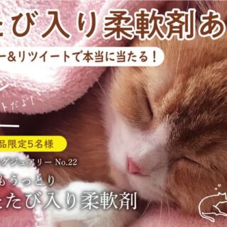 第一石鹸 エイプリルフール企画