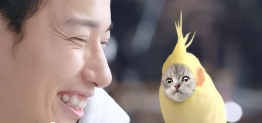 ドミノ・ピザ TV-CM ＼＼バーガーピザ・クワトロ新登場／／「うまい」と「うまい」の出会い【15秒】