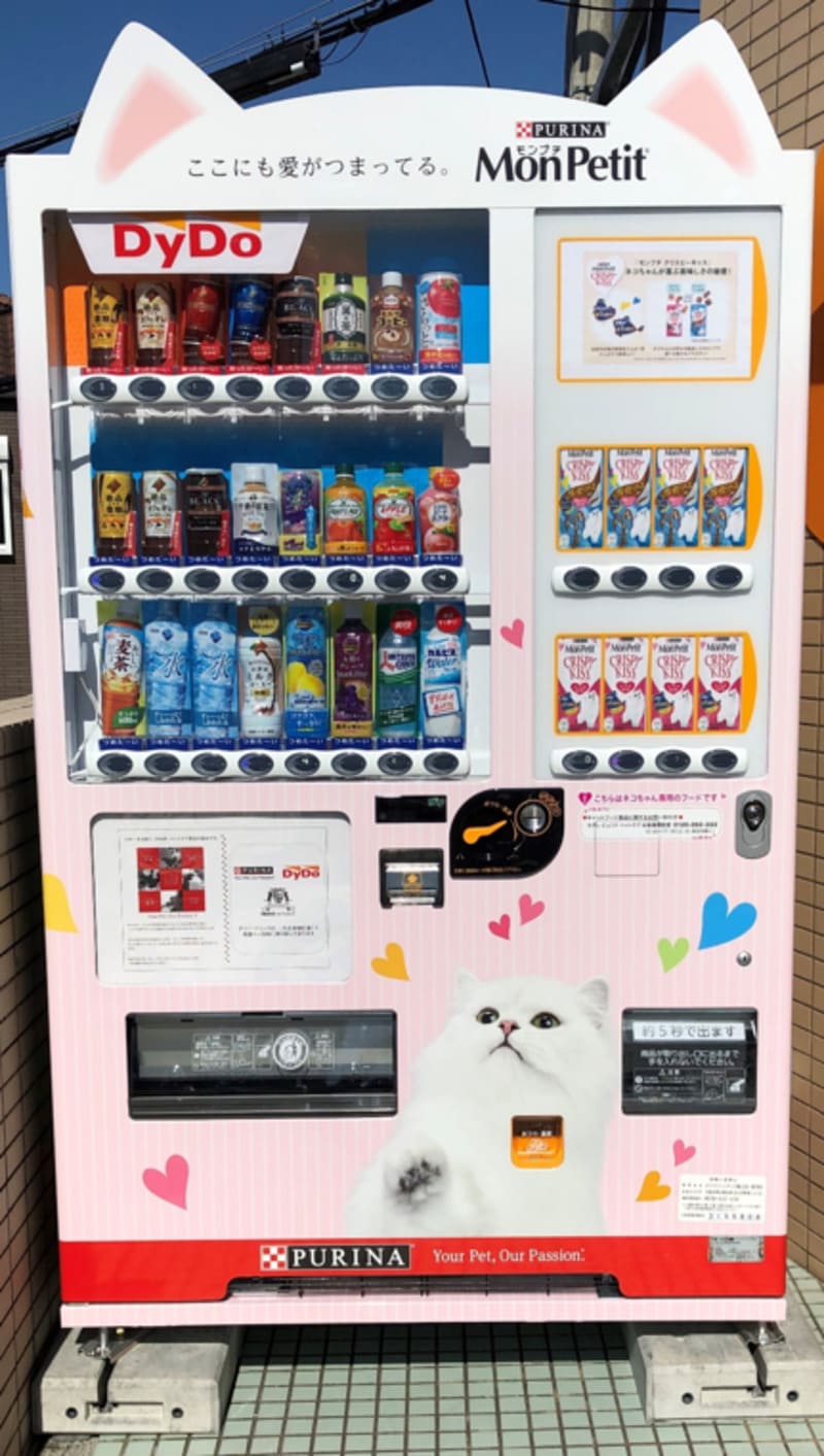 Cat and Vending machine! 猫と自販機！ editorial.unju.edu.ar