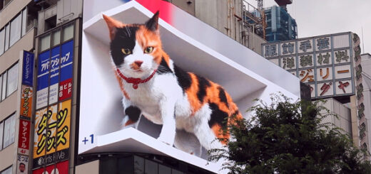 新宿東口の街頭ビジョンに出現した巨大な三毛猫