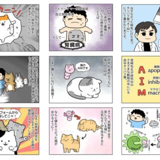 フェリシモ「猫部™」が「ＡＩＭ医学研究支援基金」を設立