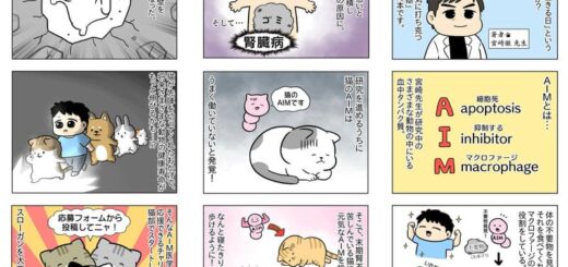 フェリシモ「猫部™」が「AIM医学研究支援基金」を設立