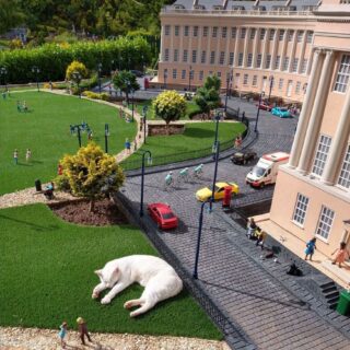 ババクーム・モデル・ビレッジ・アンド・ガーデンズでくつろぐ猫