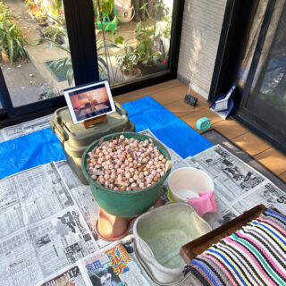 テラスで行うギンナン下処理の様子