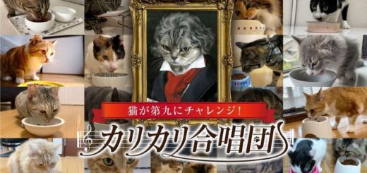 銀のスプーン カリカリ合唱団キャンペーン