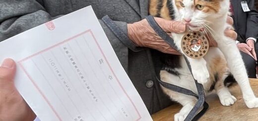 辞令交付を受けるごたま”ふく”駅長