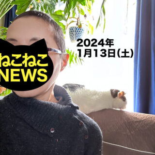 髪の毛が生え始めたねこねーさん