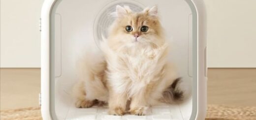 ドライヤーハウス Drybo Plus