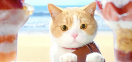 【公式】じゃらんスペシャルウィーク 2023年4月CM（15秒）