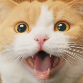 【公式】じゃらんスペシャルWeek♪ 2024年4月CM（15秒）