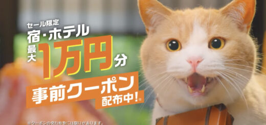 【公式】じゃらんスペシャルウィーク 2023年8月CM（15秒）