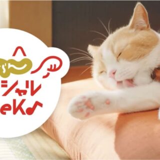 【公式】じゃらんスペシャルウィーク 2023年1月CM（15秒）