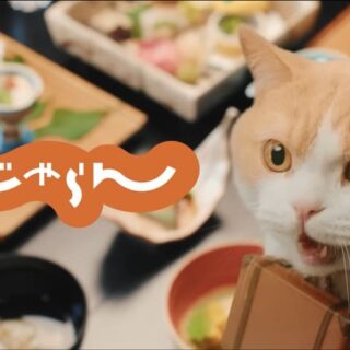 ねこしーえむ ねこあど ねこねこnews