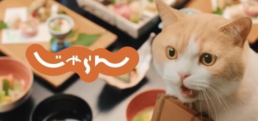 じゃらん 2022年10月CM「旅がお得に!全国旅行支援も。」篇(15秒)