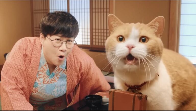 リアルなにゃらん君CMが復活!じゃらん2022年10月CM「旅がお得に!全国旅行支援も。」篇 - ねこねこNEWS